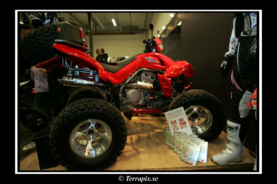 20060325_JT2U3015.jpg 137.8K