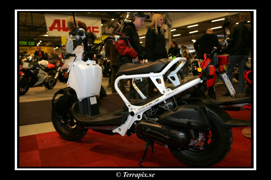 20060325_JT2U3017.jpg 148.6K