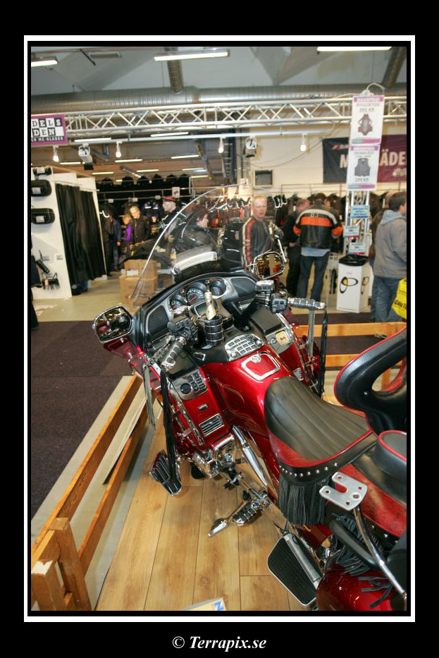 20060325_JT2U3035.jpg 181.5K