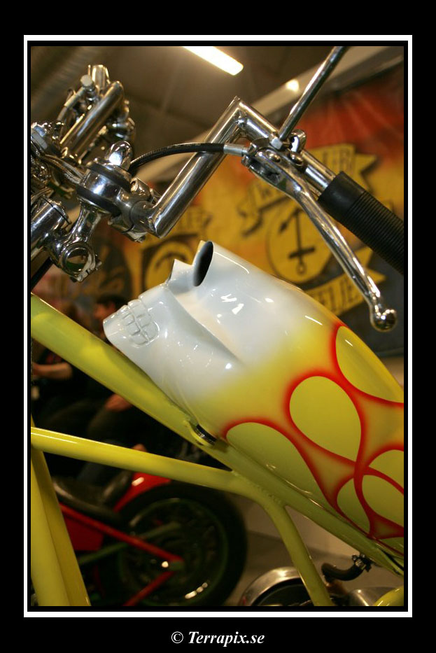 20060325_JT2U3055.jpg 137.1K