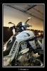 20060325_JT2U2990_thumb.jpg 34.7K