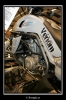 20060325_JT2U2994_thumb.jpg 36.0K