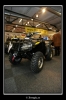 20060325_JT2U3020_thumb.jpg 32.2K