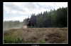 20060606_JT2U8448_thumb.jpg 30.2K