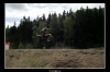 20060606_JT2U8467_thumb.jpg 30.4K