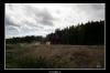 20060606_JT2U8469_thumb.jpg 28.5K
