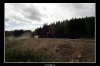 20060606_JT2U8476_thumb.jpg 28.8K