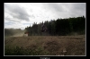 20060606_JT2U8493_thumb.jpg 27.9K
