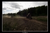 20060606_JT2U8498_thumb.jpg 28.5K
