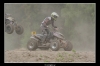 20060606_JT2U8669_thumb.jpg 27.7K