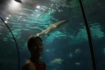 Filename=JT2U4431.jpg
Filesize=85KB
Dimensions=1024x683
Date added=Sep 27, 2004 JT2U4431.jpg